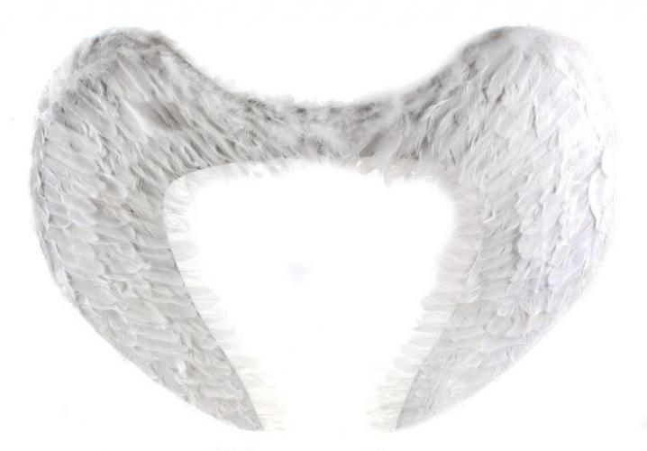 Большие крылья ангела - купить 
